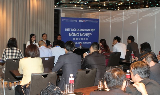 Sức hút mang tên Việt Nam đang lớn dần ảnh 1