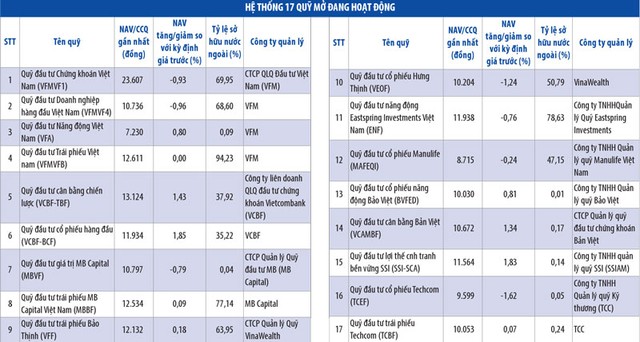 Chờ miếng ghép cuối cho ngành quỹ ảnh 1