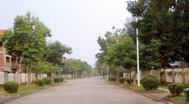 Chủ đầu tư Dự án Khu đô thị Quang Minh đứng đầu về nợ thuế ảnh 2