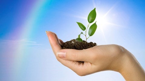 Những ngả đường hướng đích 2 triệu doanh nghiệp Việt - kỳ 2 ảnh 3