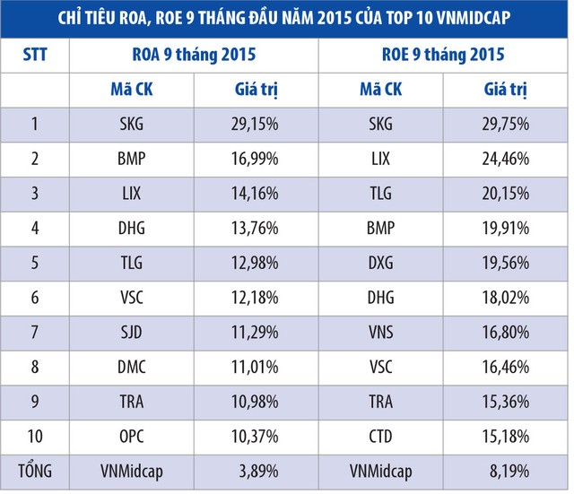 Chỉ số sàn HOSE, nhóm vốn hóa trung bình “bật sáng” ảnh 3