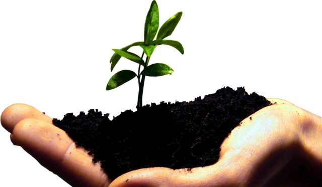 Ai quyết định vận mệnh của chúng ta? ảnh 1