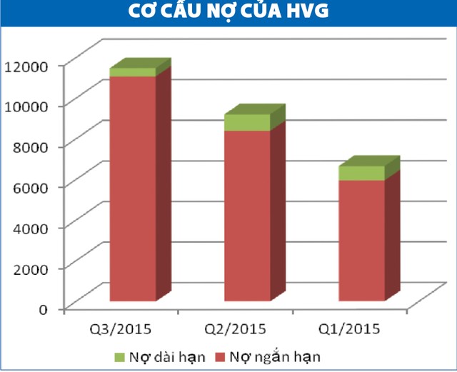 HVG: Chơi vơi niềm tin bật mạnh trở lại ảnh 1