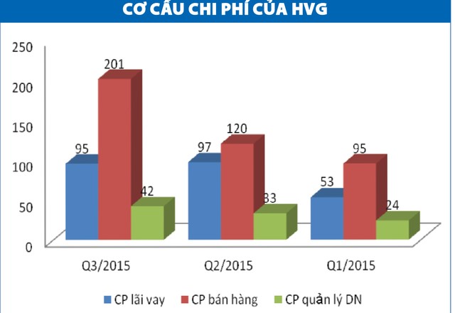 HVG: Chơi vơi niềm tin bật mạnh trở lại ảnh 2