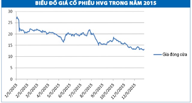 HVG: Chơi vơi niềm tin bật mạnh trở lại ảnh 3
