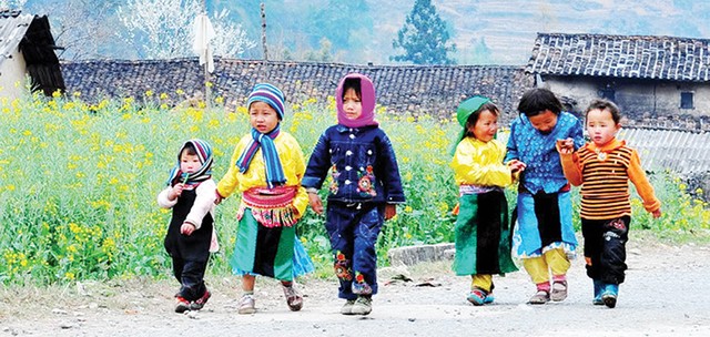 Xuân địa đầu! ảnh 2