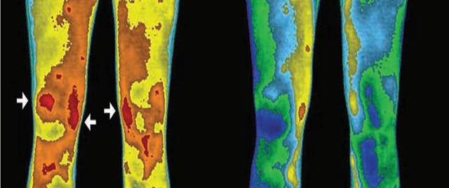 Muốn khỏe, hãy “tiếp đất” ảnh 1