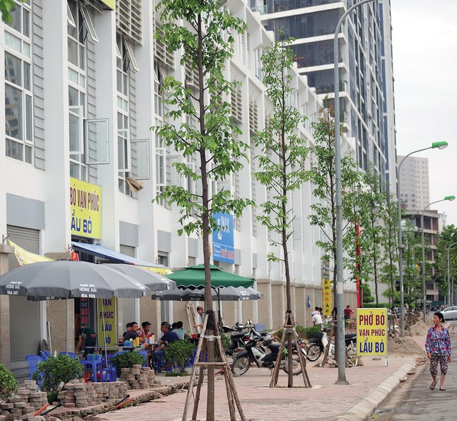 Nghi vấn TSQ Việt Nam “biến” đất công cộng thành nhà mặt phố ảnh 4