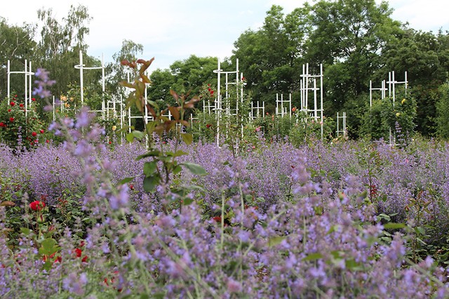 Một thoáng Praha ảnh 13