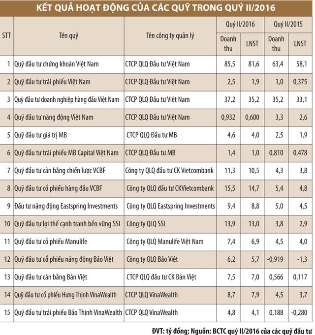 Lợi nhuận công ty quản lý quỹ: “Nước chảy chỗ trũng” ảnh 1