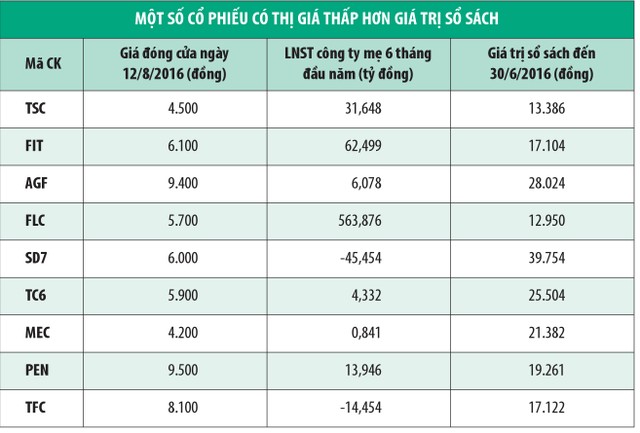 Tìm cơ hội từ những cổ phiếu giá bèo ảnh 1