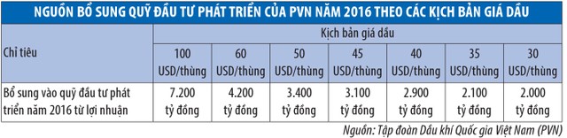 Chuyện những doanh nghiệp rủng rỉnh tiền ảnh 3