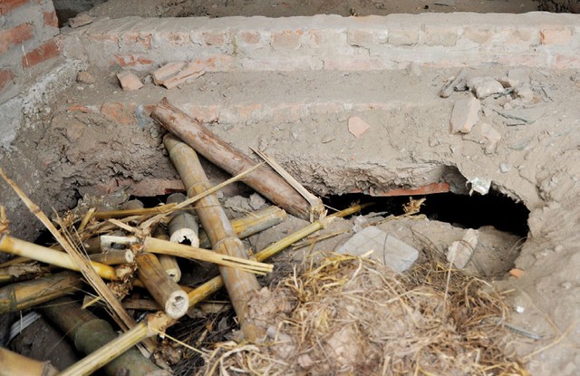 Cỏ dại mọc trong biệt thự tiền tỷ tại Khu đô thị Văn Phú ảnh 2