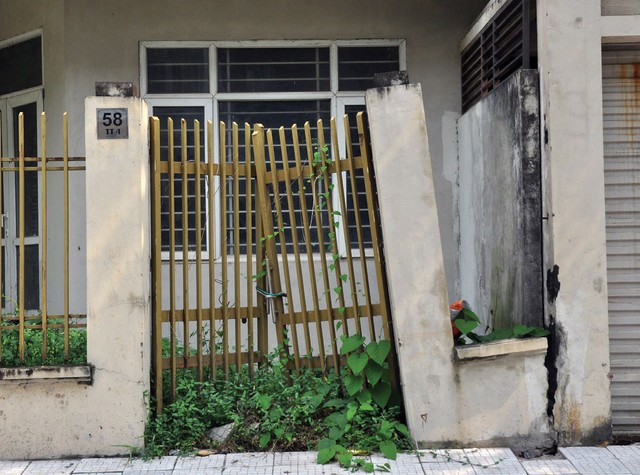 Cỏ dại mọc trong biệt thự tiền tỷ tại Khu đô thị Văn Phú ảnh 3