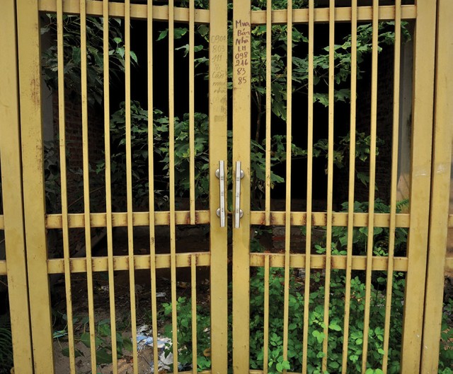 Cỏ dại mọc trong biệt thự tiền tỷ tại Khu đô thị Văn Phú ảnh 4