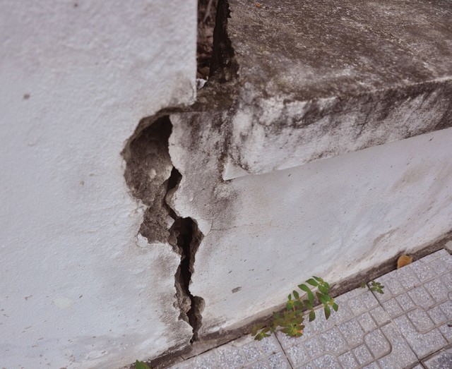 Cỏ dại mọc trong biệt thự tiền tỷ tại Khu đô thị Văn Phú ảnh 6