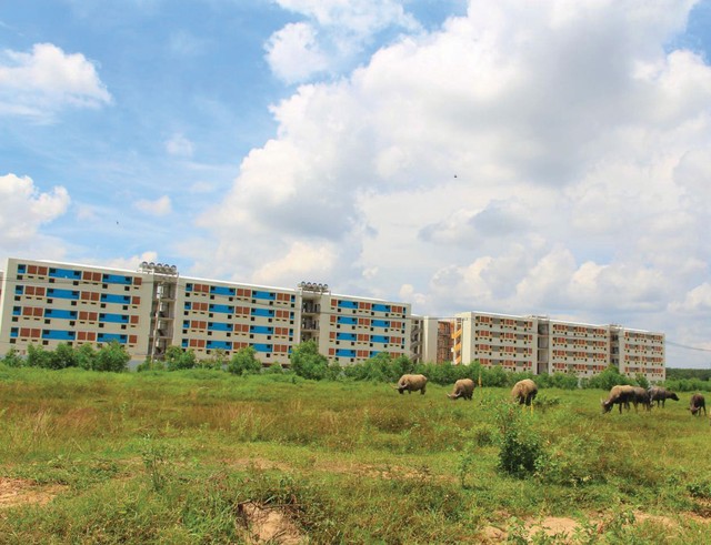 Bình Dương,  khi thành phố mới vắng bóng người ảnh 7