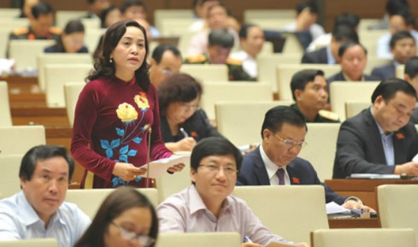 Đại biểu Quốc hội đề xuất tổng kết, đánh giá ngay chính sách tích tụ ruộng đất ảnh 2