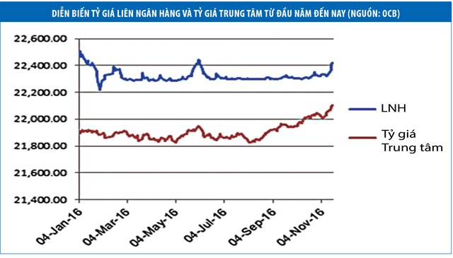 Tỷ giá tăng đột biến: Chỉ là biến động nhất thời  ảnh 1