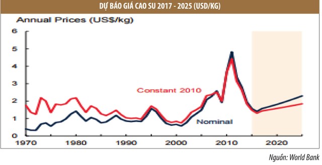 Cao su tự nhiên đã qua thời gian khó ảnh 3