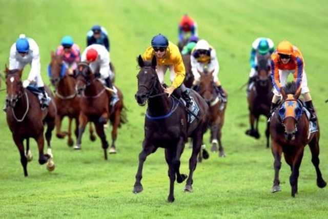 Đánh bạc, đặt cược bóng đá quốc tế, đua ngựa, đua chó: Phải từ 21 tuổi thay vì 18  ảnh 2