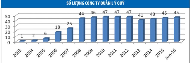 Triển vọng năm 2020 của ngành quản lý quỹ Việt Nam ảnh 2