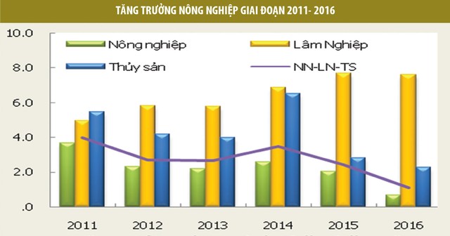 Kinh tế 2017: Kích hoạt nhiều thách thức ảnh 6