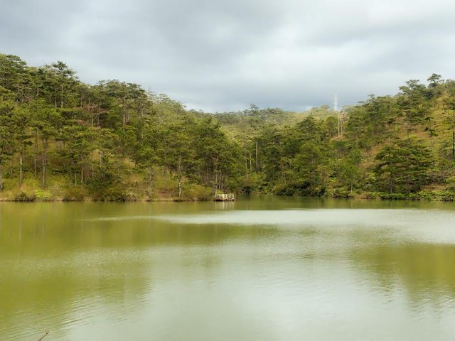 Đà Lạt chờ ai… ảnh 1