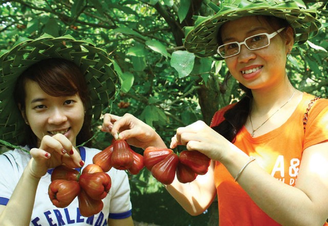 Du Xuân trên hành trình sông nước miền Tây ảnh 4