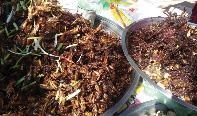 Biển Hồ! Biển Hồ! ảnh 3