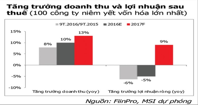 Năm Đinh Dậu, đầu tư vào nhóm cổ phiếu nào để thắng? ảnh 3