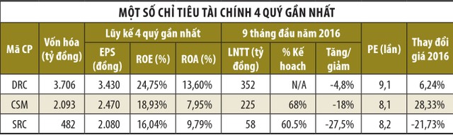 Năm 2017: “Thử lửa” doanh nghiệp ngành săm lốp ảnh 2