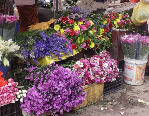 Khách Tây hướng dẫn cách chơi Tết ở Việt Nam ảnh 1