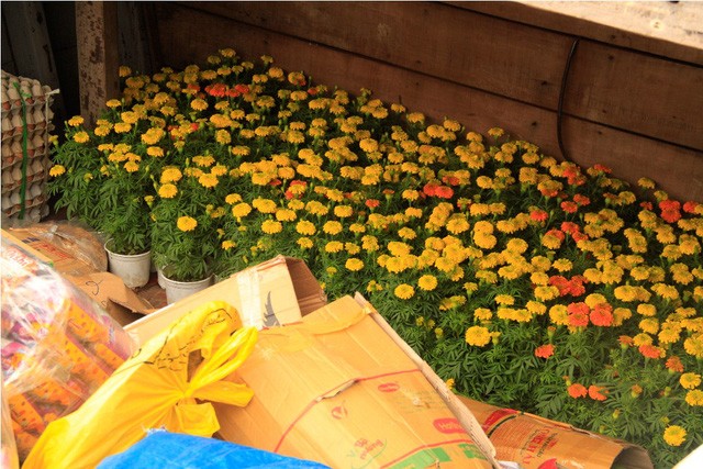 Dân đảo vượt biển vào đất liền sắm Tết ảnh 3