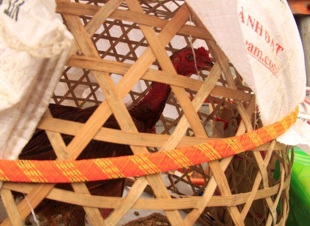 Dân đảo vượt biển vào đất liền sắm Tết ảnh 5