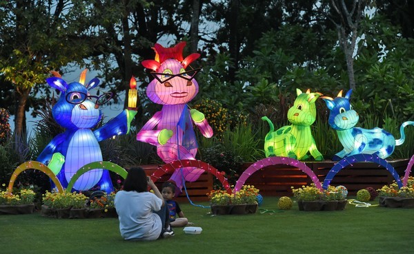 Hình ảnh người dân Châu Á náo nức chuẩn bị đón Tết Đinh Dậu ảnh 28