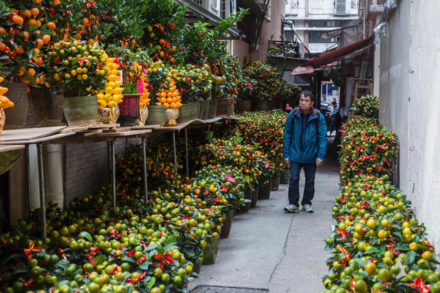 Hình ảnh người dân Châu Á náo nức chuẩn bị đón Tết Đinh Dậu ảnh 36