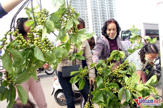 Người Hà Nội chen chân đi phiên chợ cuối cùng của năm ảnh 4