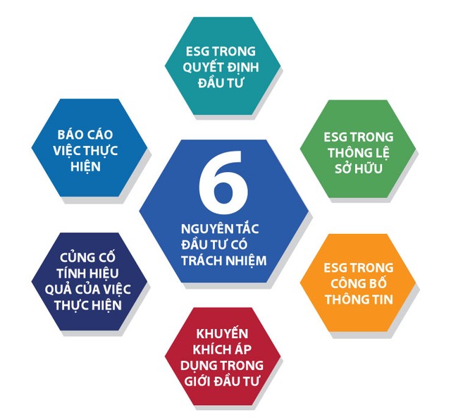 Khai Xuân Đinh Dậu: HOSE kêu gọi chung tay phát triển bền vững ảnh 1