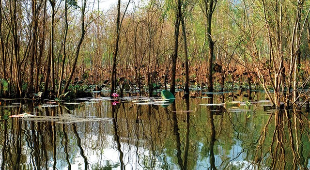 Xuân về trẩy hội chùa Hương ảnh 2