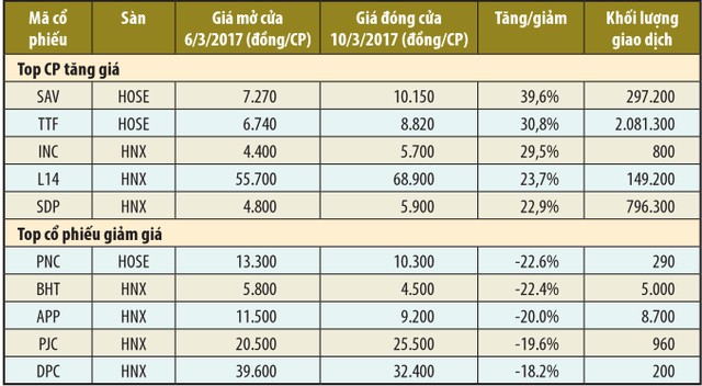 Tiền nóng làm “sống dậy” mã TTF ảnh 1