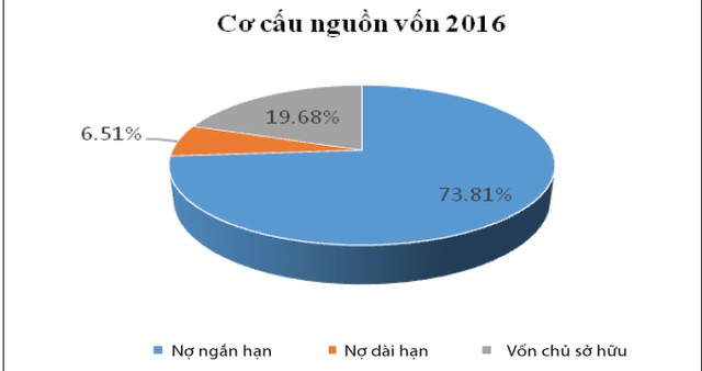 Rơi khỏi Quỹ FTSE ETF, chông chênh tương lai HVG ảnh 2