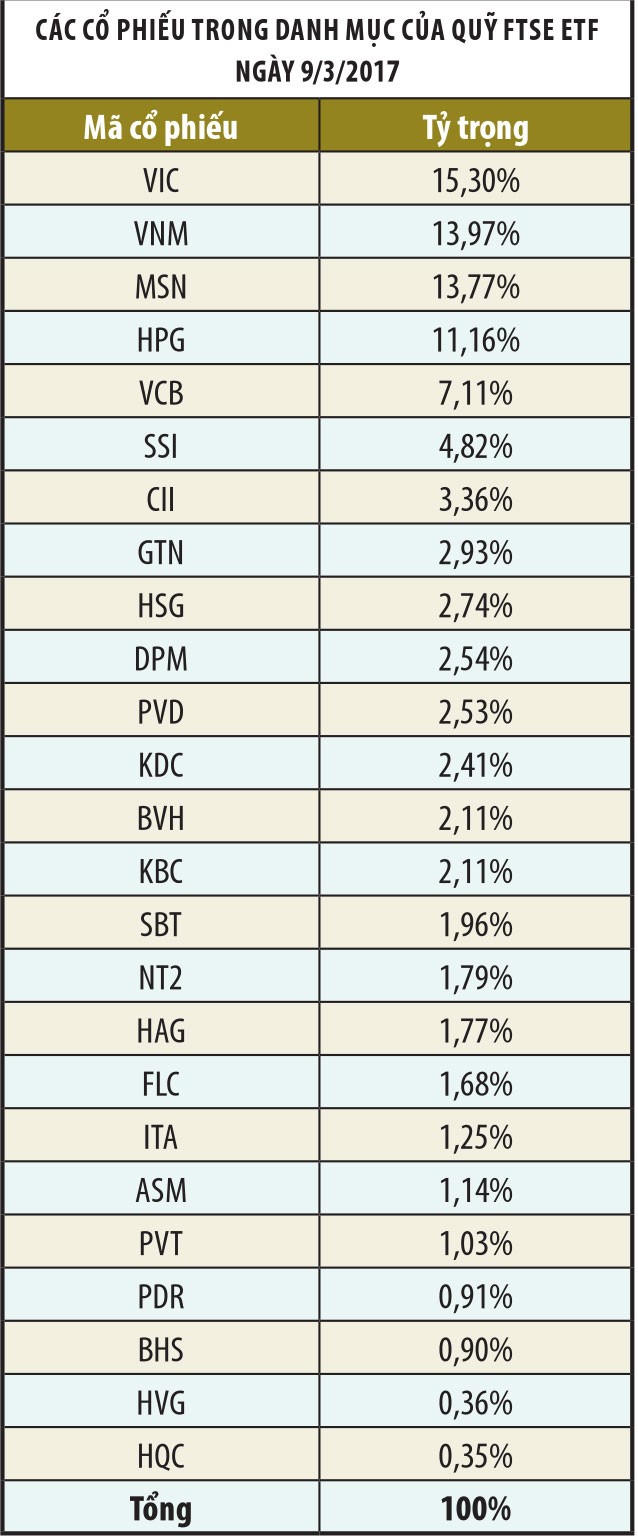 Thị trường dậy sóng vì ETF ngoại, ETF nội ở đâu? ảnh 4