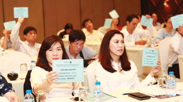 Rồng Việt lên kế hoạch 2017 lãi trăm tỷ ảnh 1