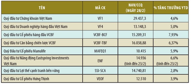 Quý I, nhiều quỹ chiến thắng thị trường ảnh 1