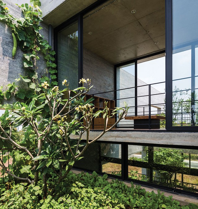 Binh House, ​căn nhà xanh của nhà thiết kế Võ Trọng Nghĩa ảnh 1