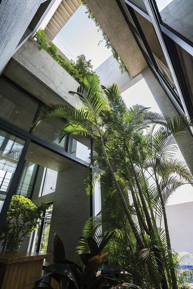 Binh House, ​căn nhà xanh của nhà thiết kế Võ Trọng Nghĩa ảnh 4