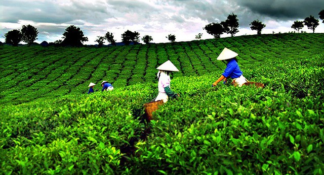 Doanh nghiệp chờ được tháo gỡ nhiều nút thắt ảnh 3