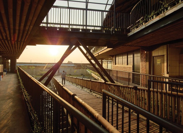 Độc đáo: Ngôi trường trên đầm lầy ảnh 4