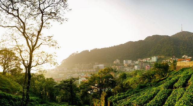 Tam Đảo, phố núi mộng mơ ảnh 5